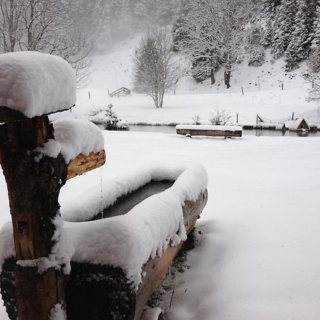 Aparthotel Edy Bruggmann Ag Flumserberg Esterno foto